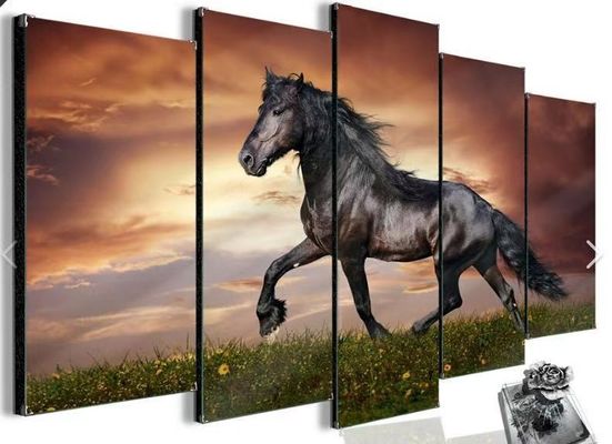 শৈল্পিক স্বাধীনতা সহ মাল্টি অ্যাঙ্গেল 20W HDMI ভিডিও ওয়াল কন্ট্রোলার
